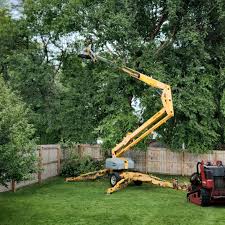 Best Sod Installation  in Oglesby, IL